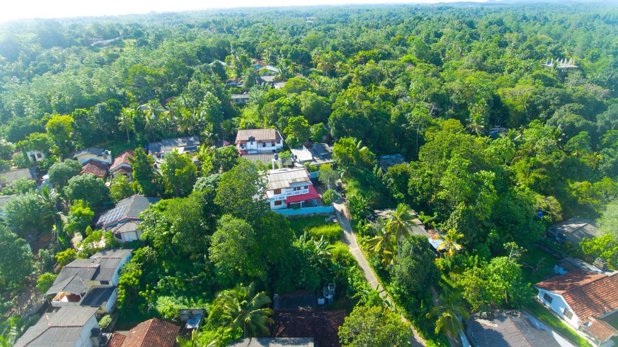 ดินซารา เพิร์ล วิลลา Bed & Breakfast เวลิกามา ภายนอก รูปภาพ